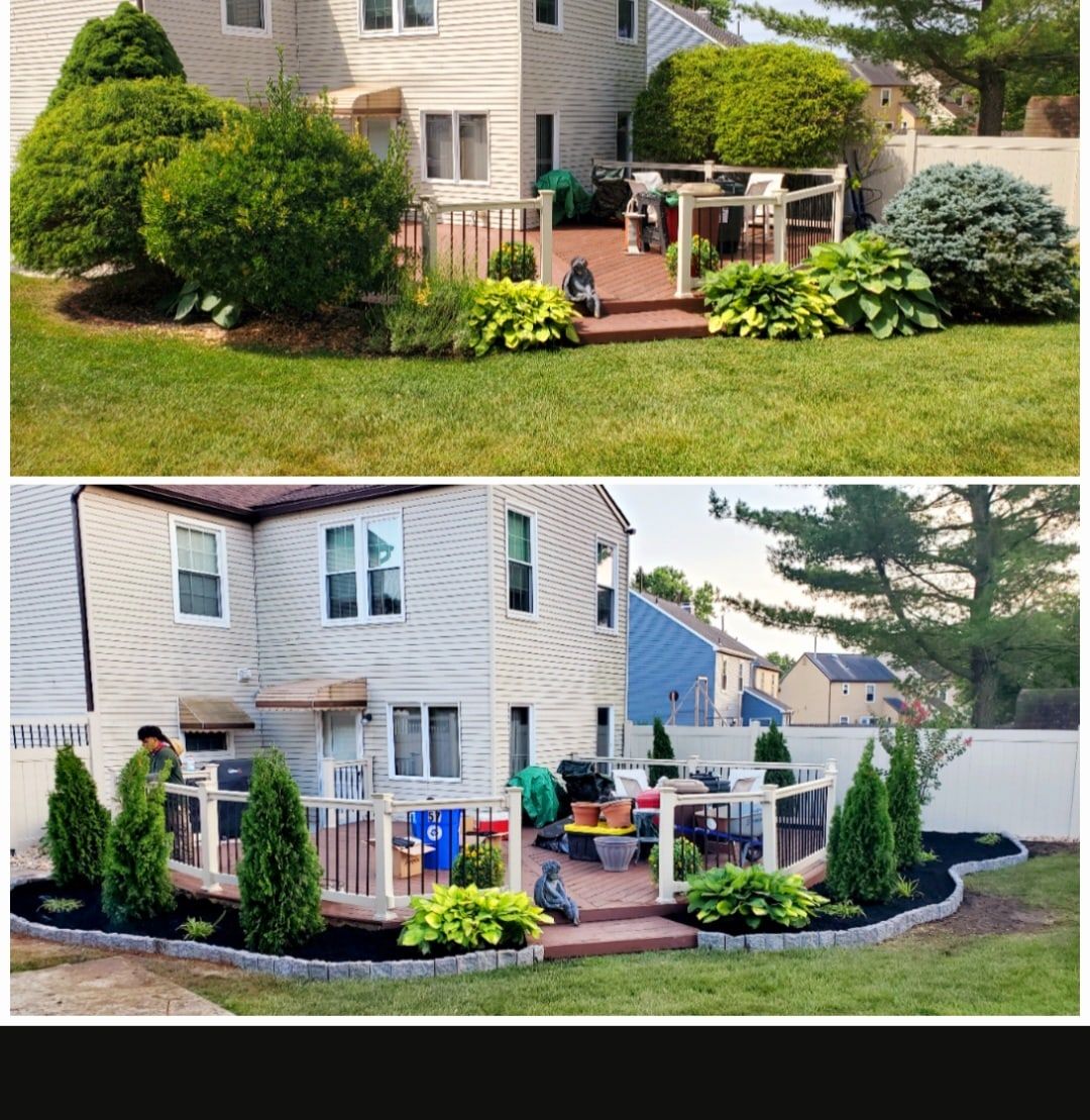 Before and after: backyard beside a deck renovated with new mulch beds, evergreens and stone edging
