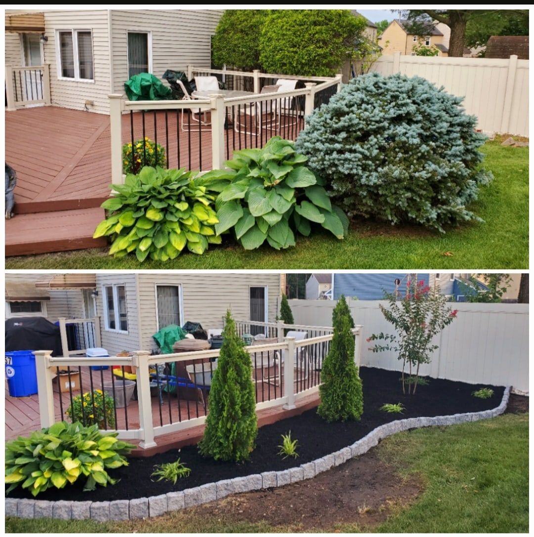Before and after: deck-side garden rebuilt with arborvitae, fresh mulch and curved stone edging