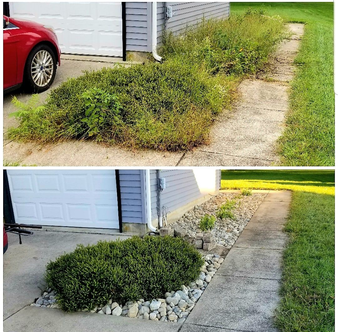 Before and after: weedy strip beside a driveway cleared, the shrub trimmed and the bed finished with river rock