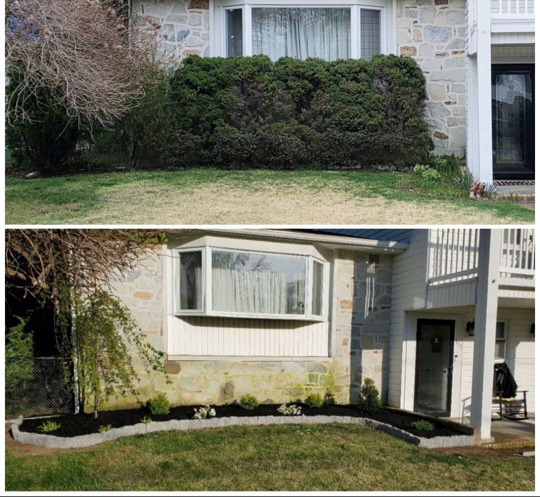 Before and after: overgrown shrubs in front of a stone house replaced with a new mulch bed, small shrubs and stone edging