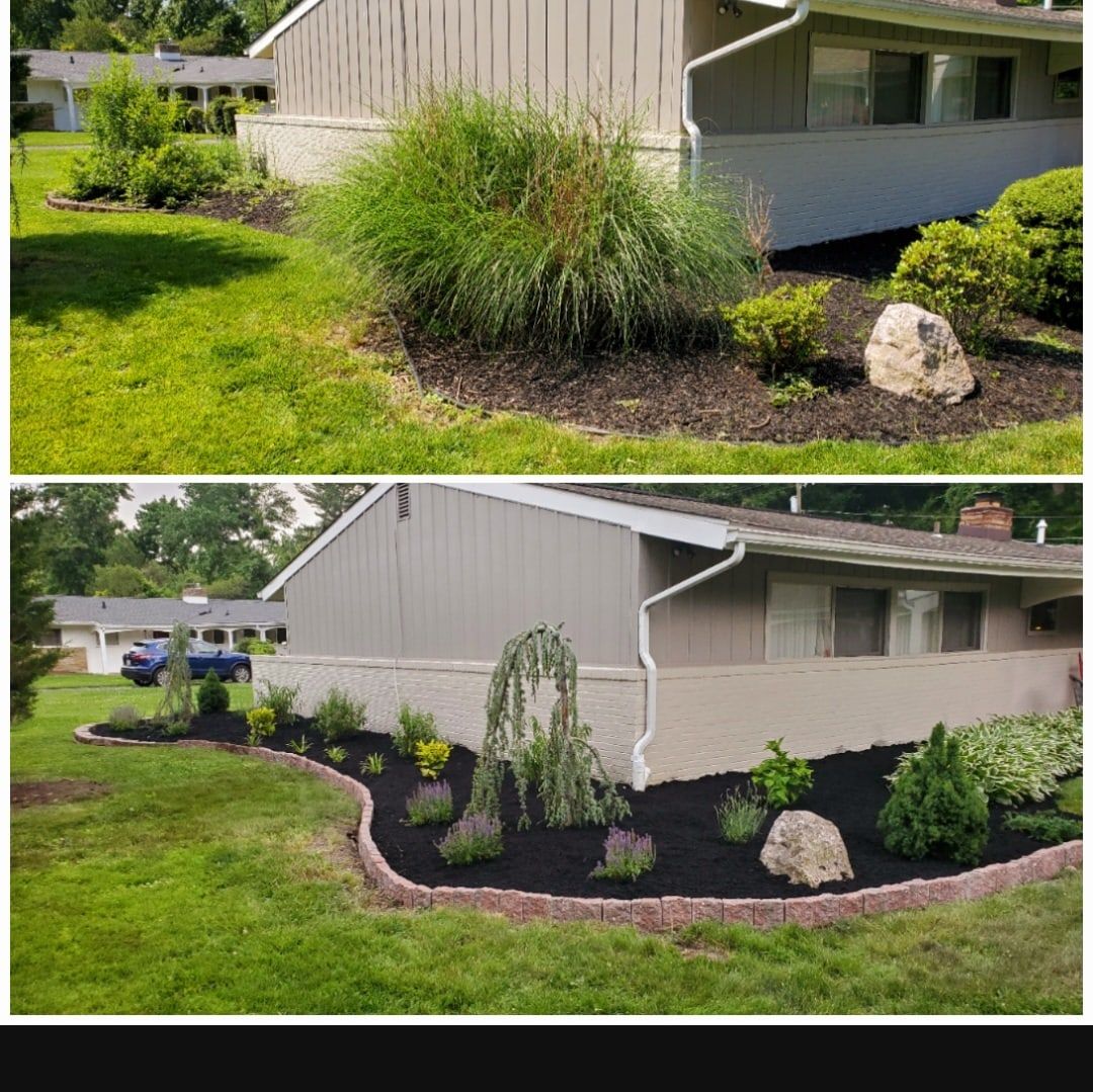 Before and after: overgrown ornamental grass bed replanted with a weeping evergreen, lavender and dwarf conifers inside curved paver edging